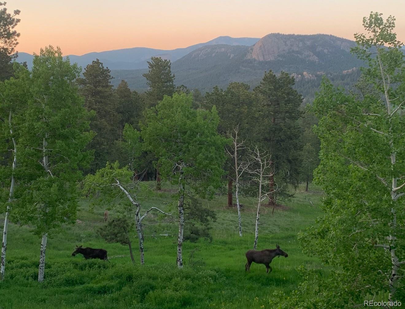 278 Overlook Drive Bailey, CO 80421 - Photo 41 of 48