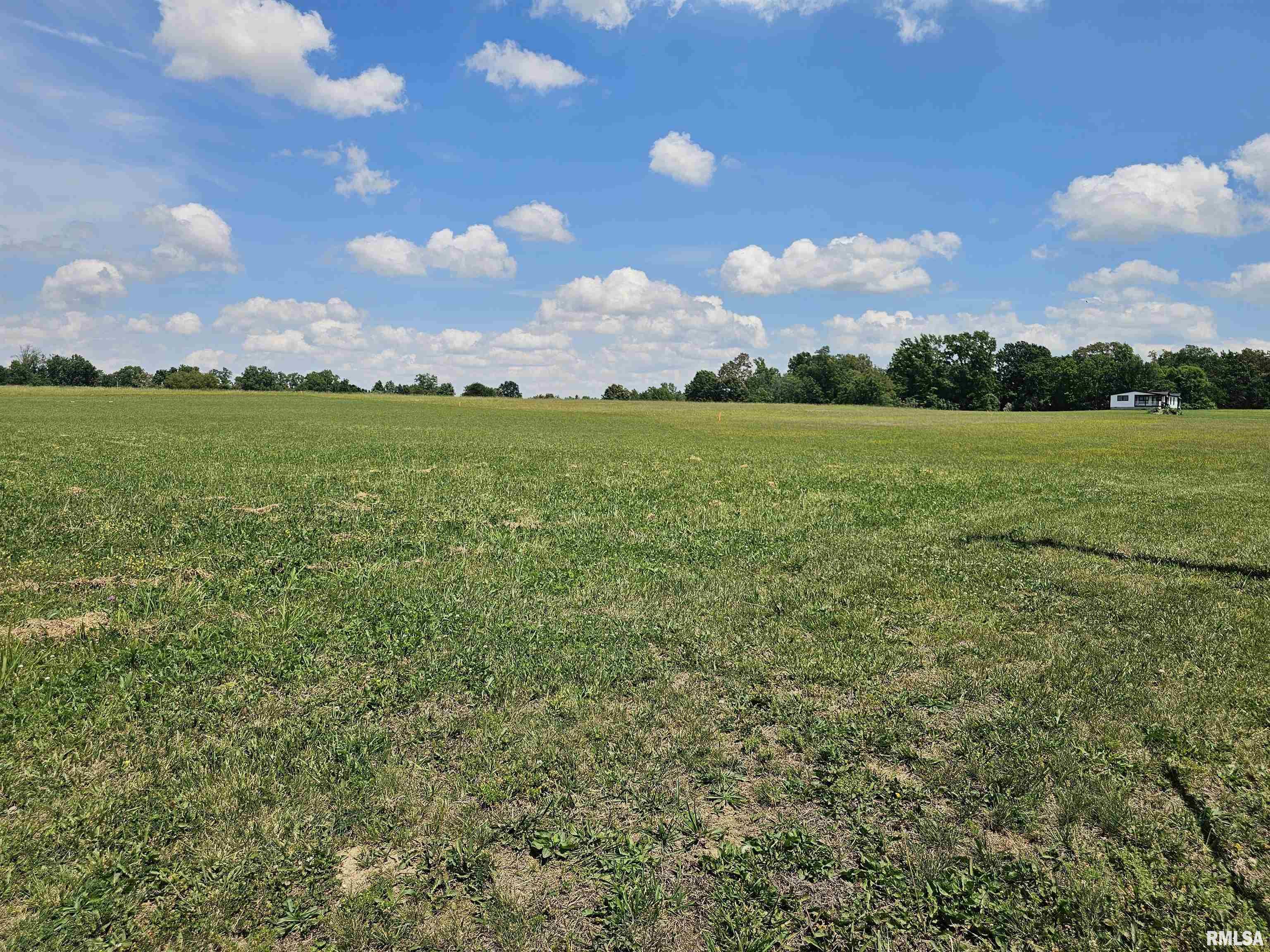16164 Old Creal Springs Road Marion, IL 62959 - Photo 1 of 7