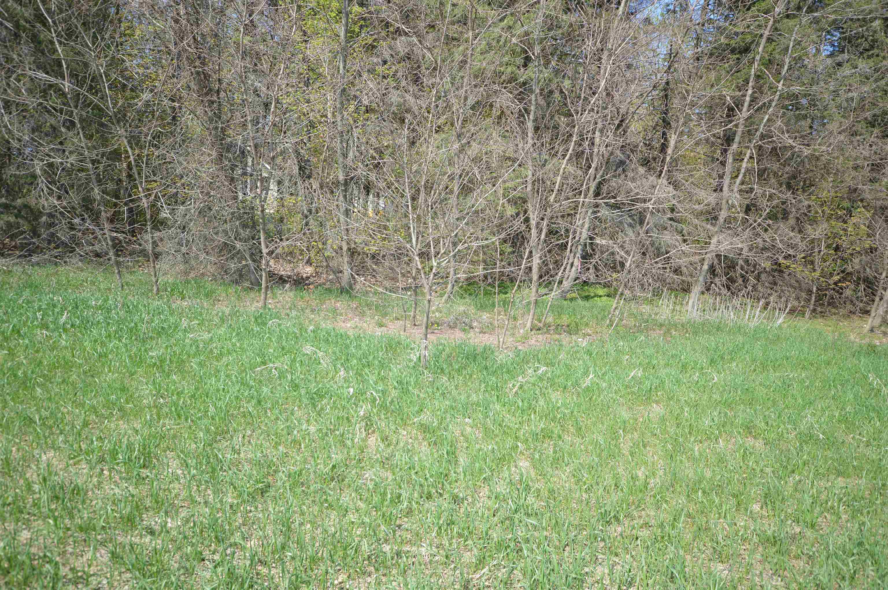 0 North East Silver Lake Road Traverse City, MI 49685 - Photo 13 of 27