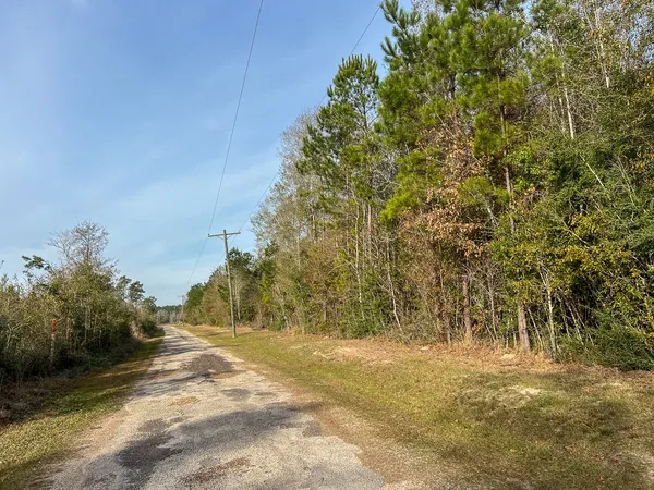 $139,500 | T-3 T-3 Tall Cotton Road, Saratoga, TX 77585