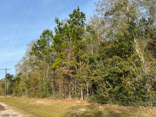 $139,500 | T-3 T-3 Tall Cotton Road, Saratoga, TX 77585