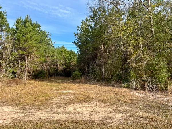 $139,500 | T-3 T-3 Tall Cotton Road, Saratoga, TX 77585
