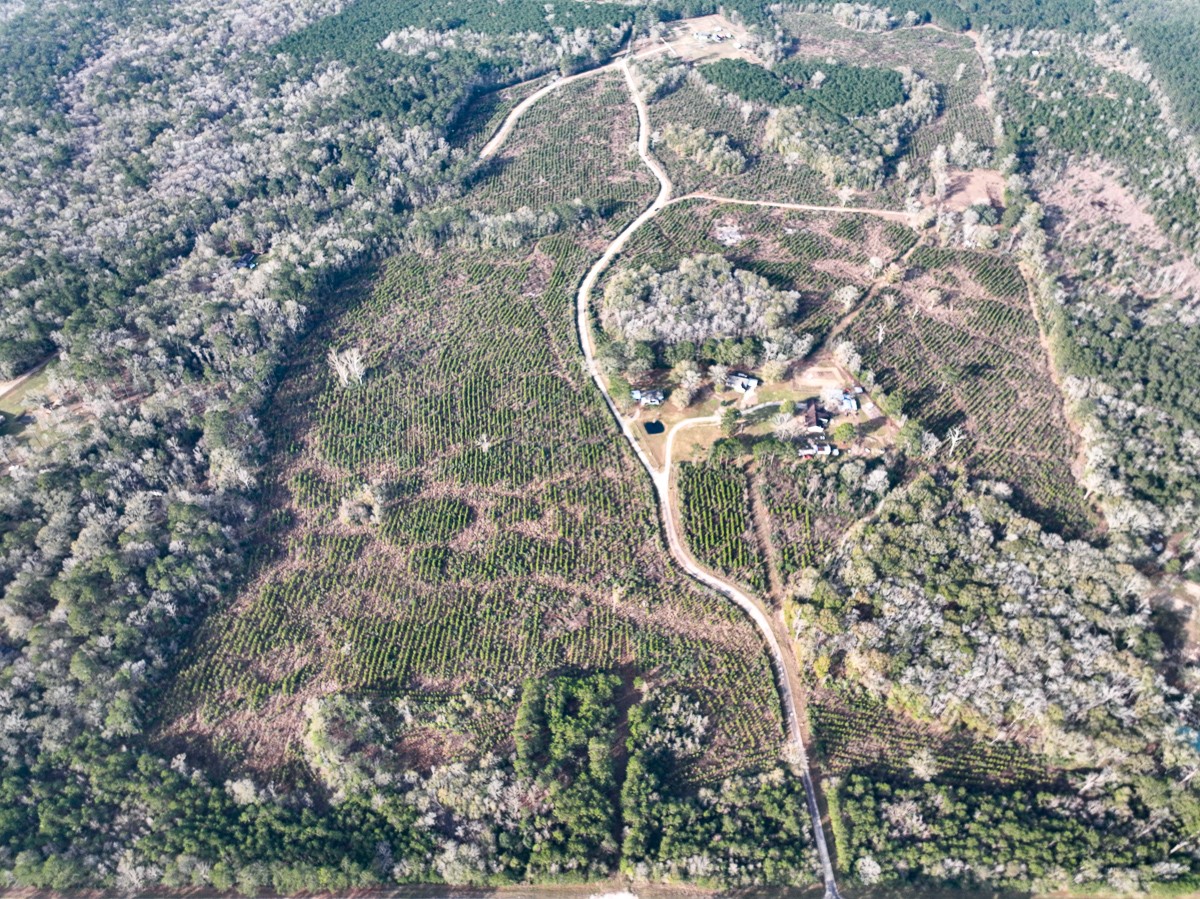 T-3 T-3 Tall Cotton Road Saratoga, TX 77585 - Photo 29 of 34