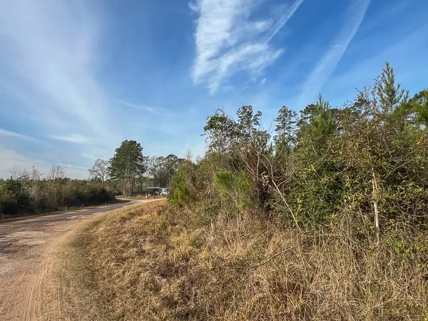 $139,500 | T-3 T-3 Tall Cotton Road, Saratoga, TX 77585