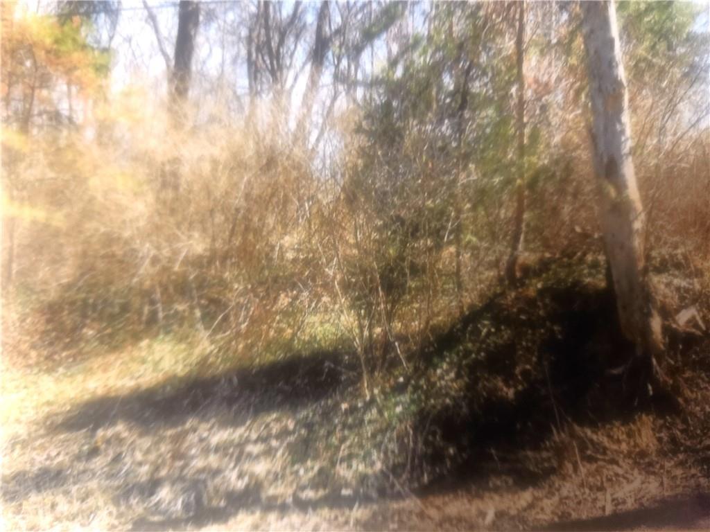 640 Pittsburgh Rochester Road Baden, PA 15005 - Photo 3 of 8 a view of a yard