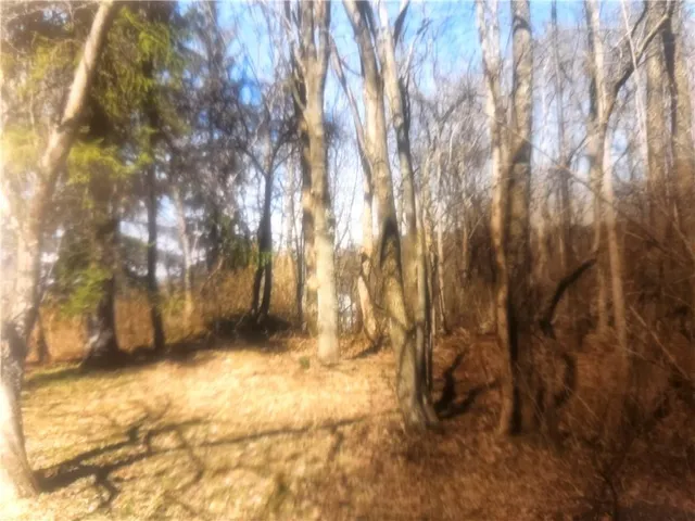 a view of backyard of house