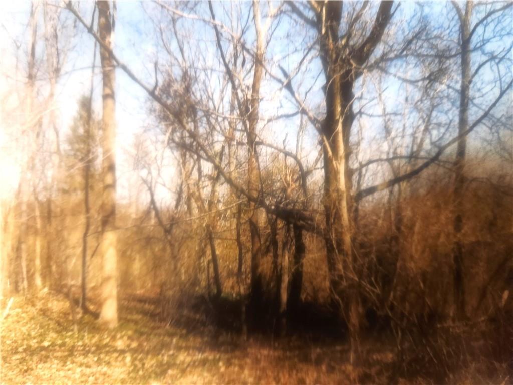 640 Pittsburgh Rochester Road Baden, PA 15005 - Photo 6 of 8 a view of yard