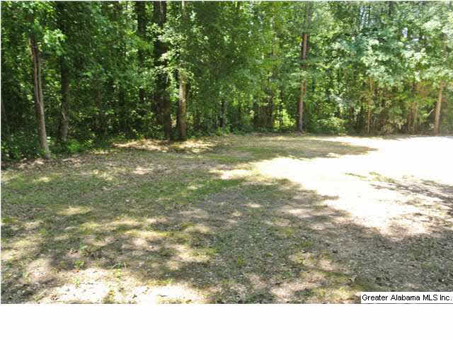 643 Murphrees Valley Road Springville, AL 35146 - Photo 5 of 32