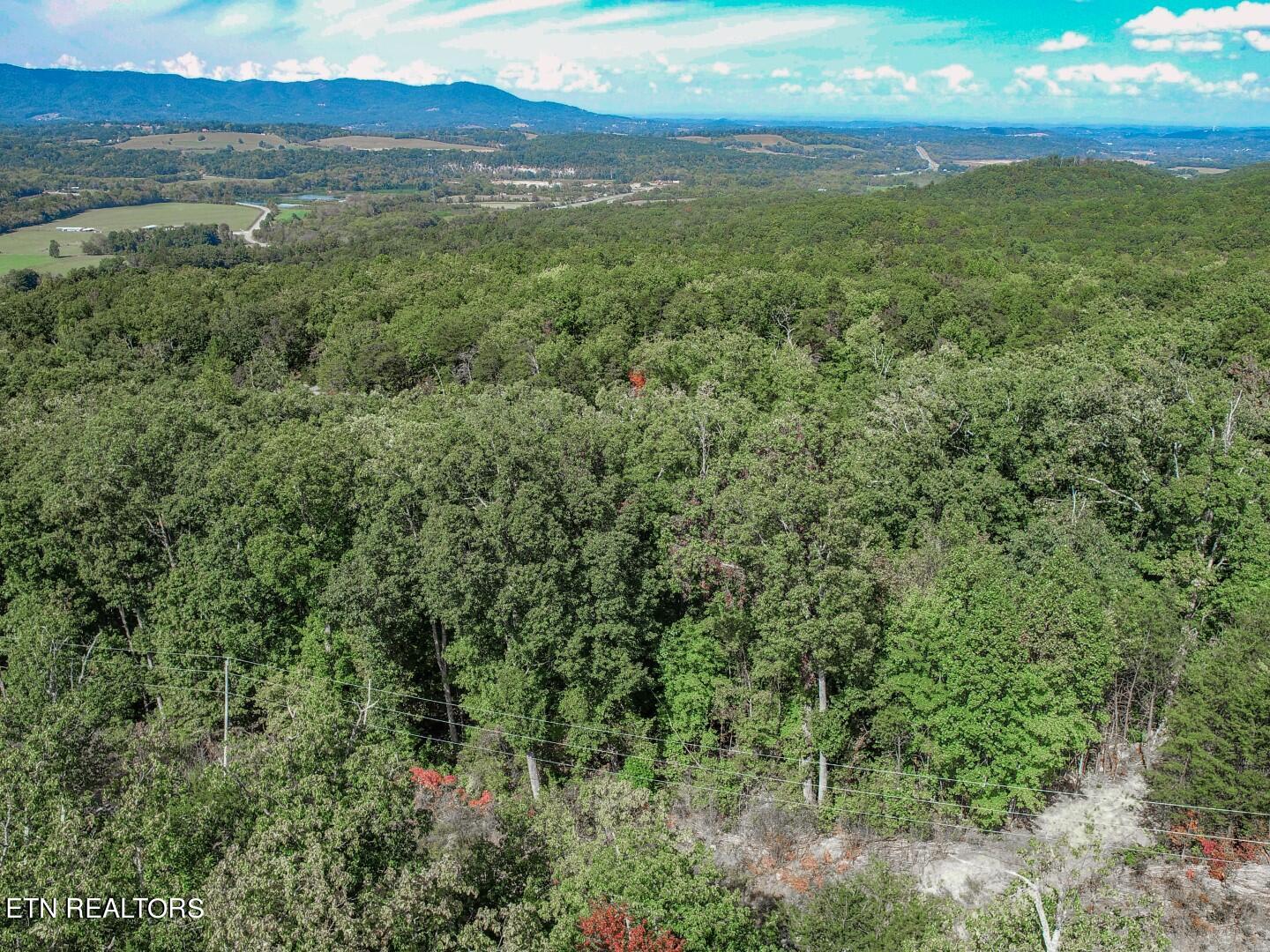 Lot 28 Browder Road Newport, TN 37821 - Photo 1 of 15 1