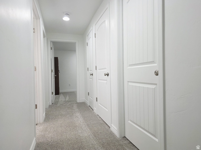 1437 925 South Vernal, UT 84078 - Photo 24 of 47 Hallway featuring gray carpet flooring, white walls, and multiple white paneled doors with brushed nickel hardware