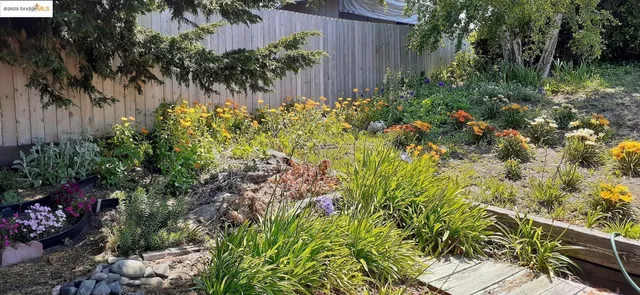 a view of backyard of the house
