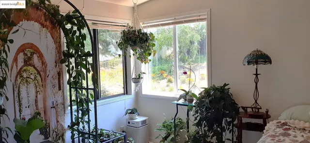 a room with a couch and a potted plant