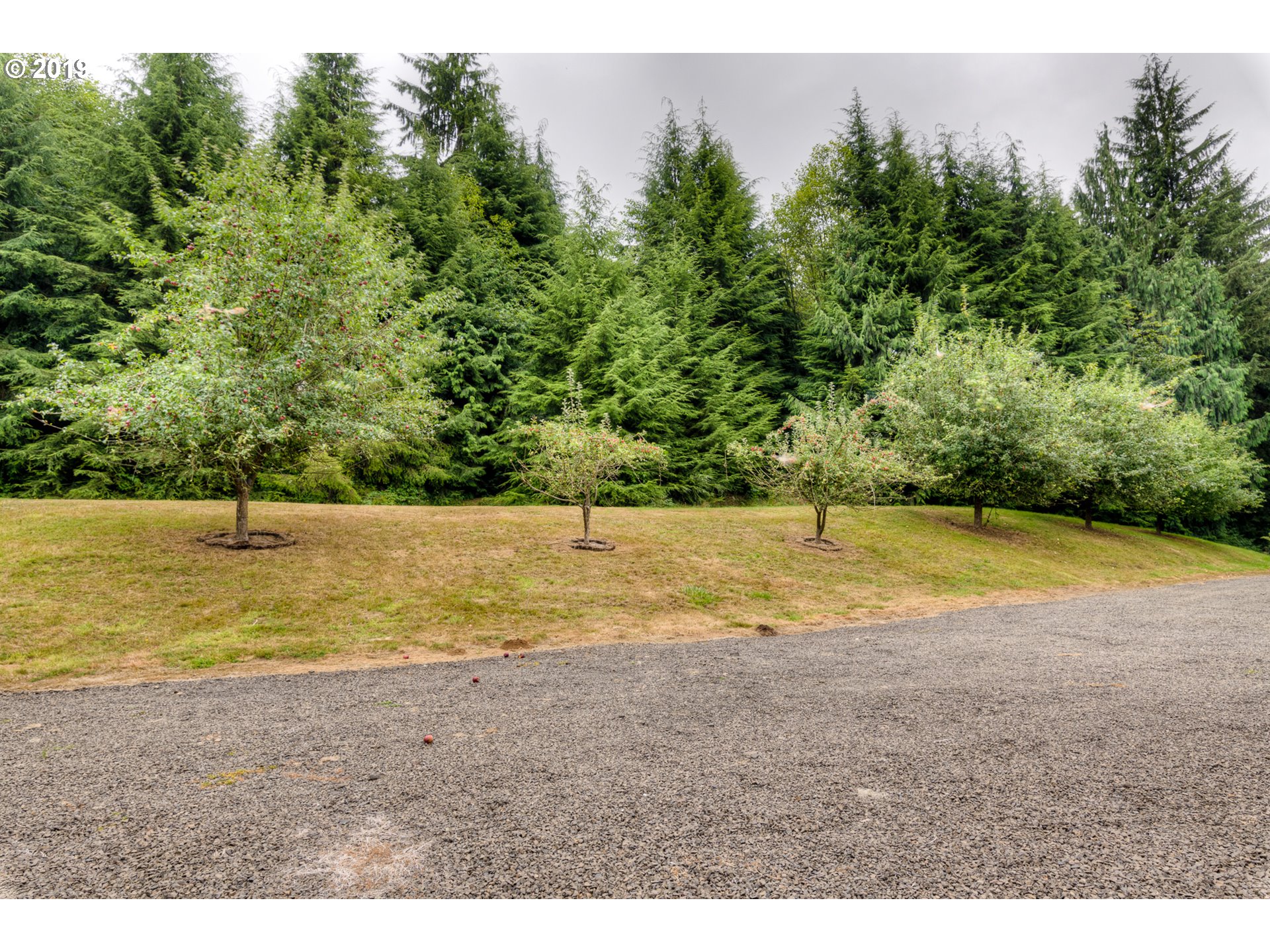 95223 Aldrich Point Road Astoria, OR 97103 - Photo 19 of 23 Gallery Image 19