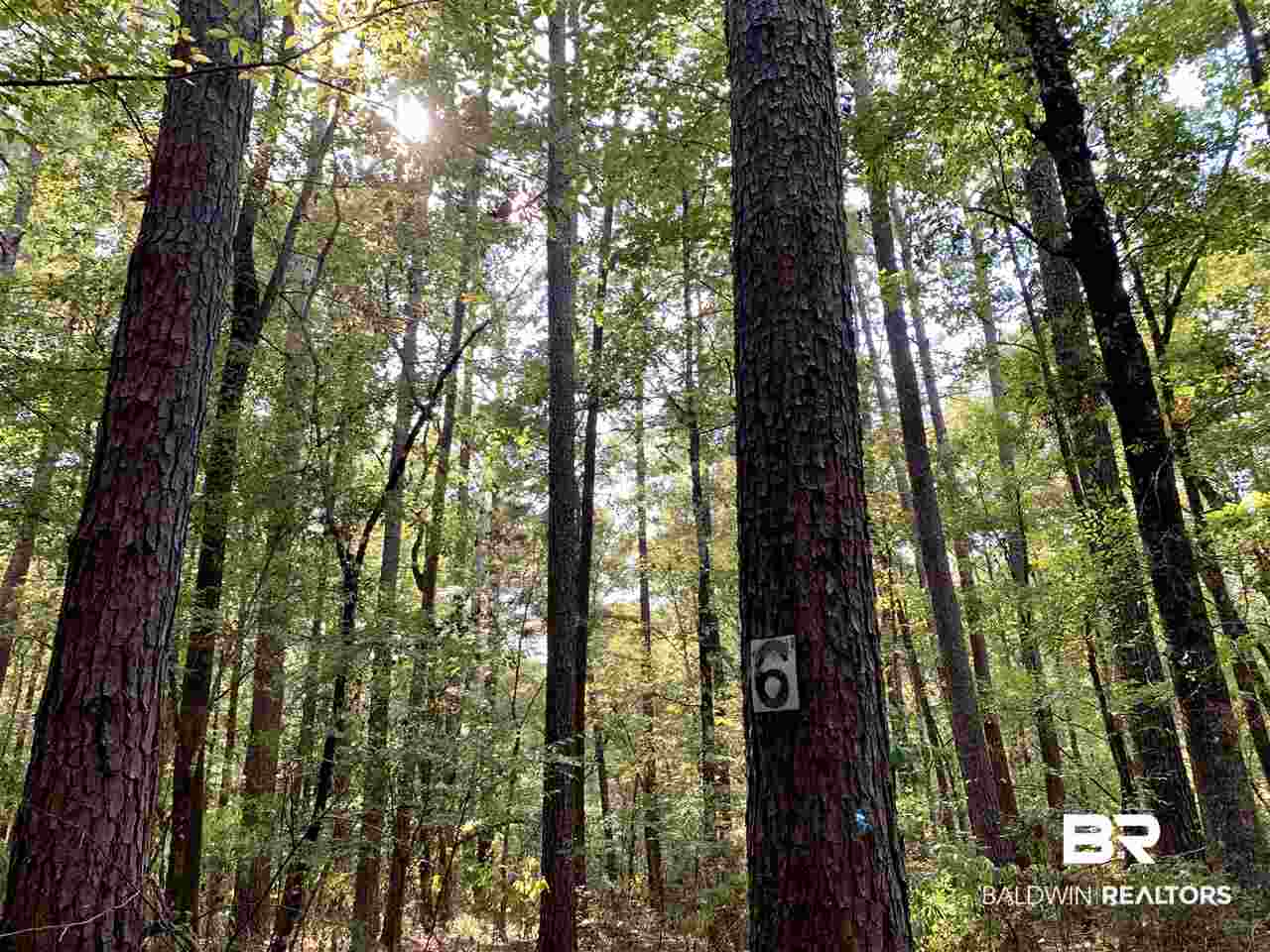 0 Holly Creek Road Stockton, AL 36579 - Photo 5 of 50