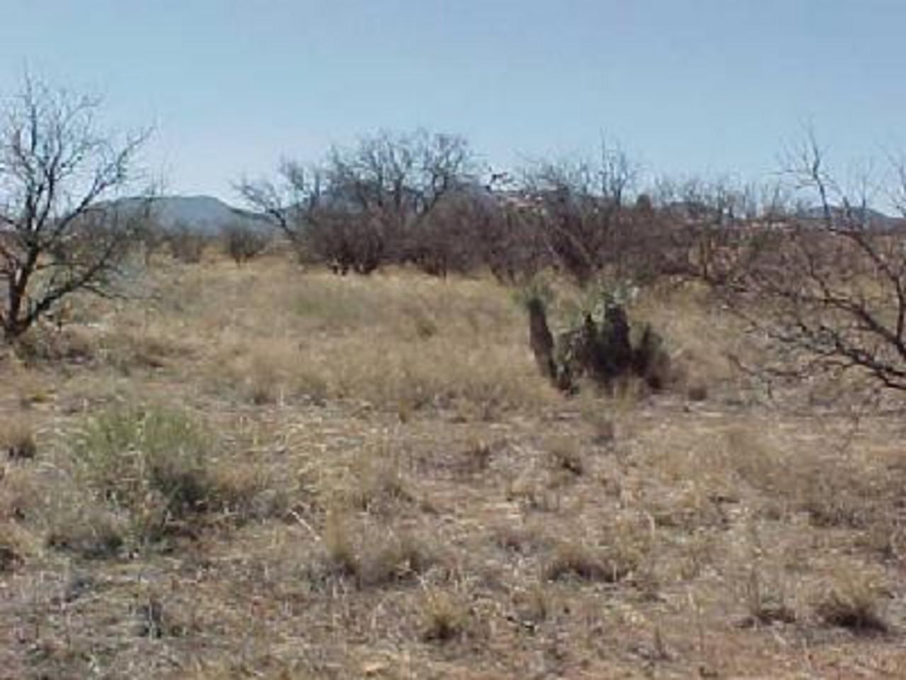 0 West Clark Road Benson, AZ 85602 - Photo 1 of 2 Gallery Image 1