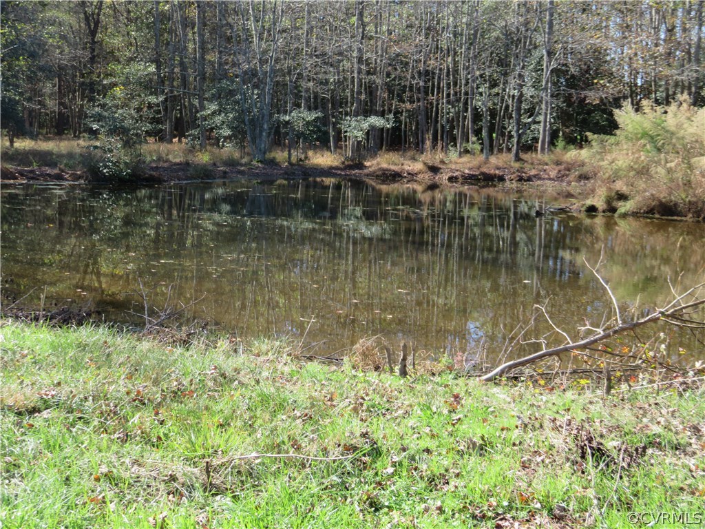 Tbd Quaker Road Ivor, VA 23866 - Photo 8 of 20