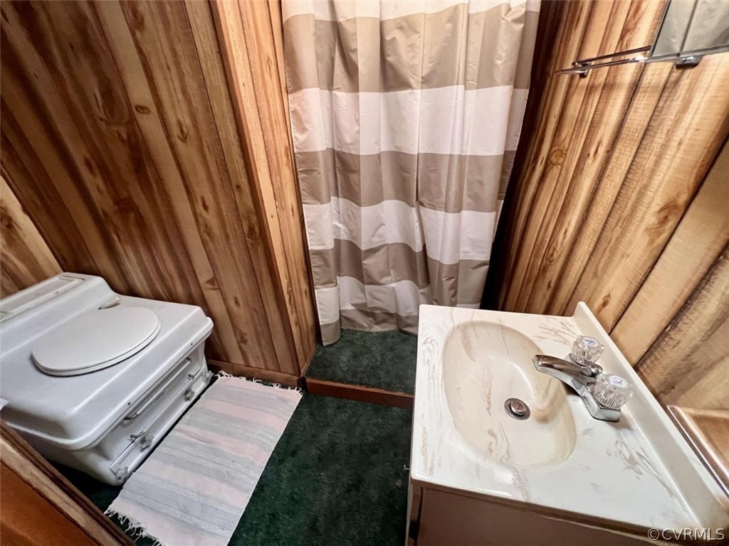 1300 Braley Pond Road West Augusta, VA 24485 - Photo 18 of 23 a bathroom with a sink a toilet and shower curtain