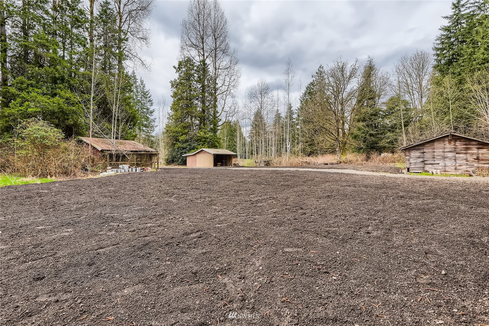 29017 Old Owen Road Monroe, WA 98272 - Photo 27 of 35 a view of large tree with green space