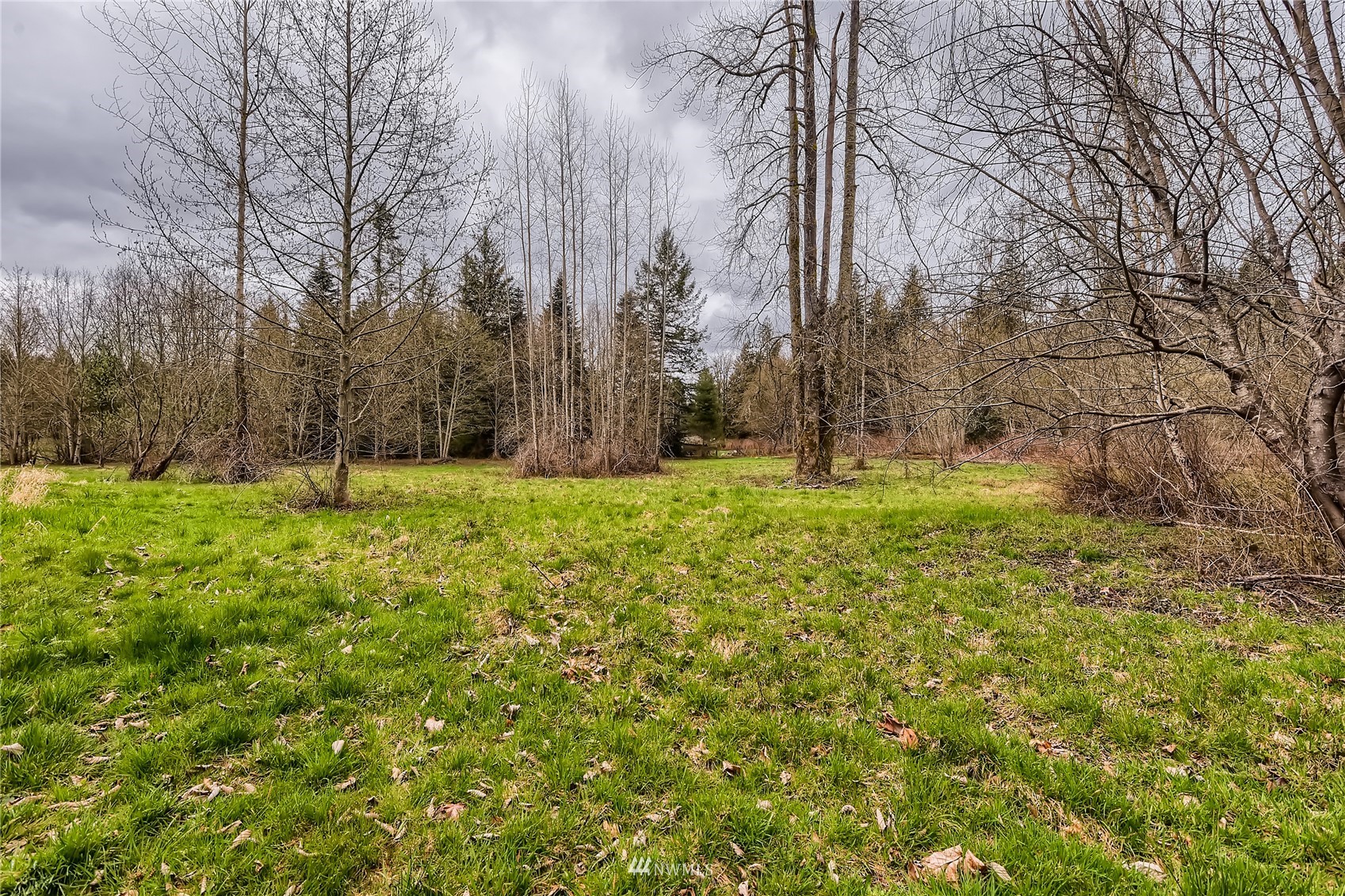 29017 Old Owen Road Monroe, WA 98272 - Photo 29 of 35 a garden with trees