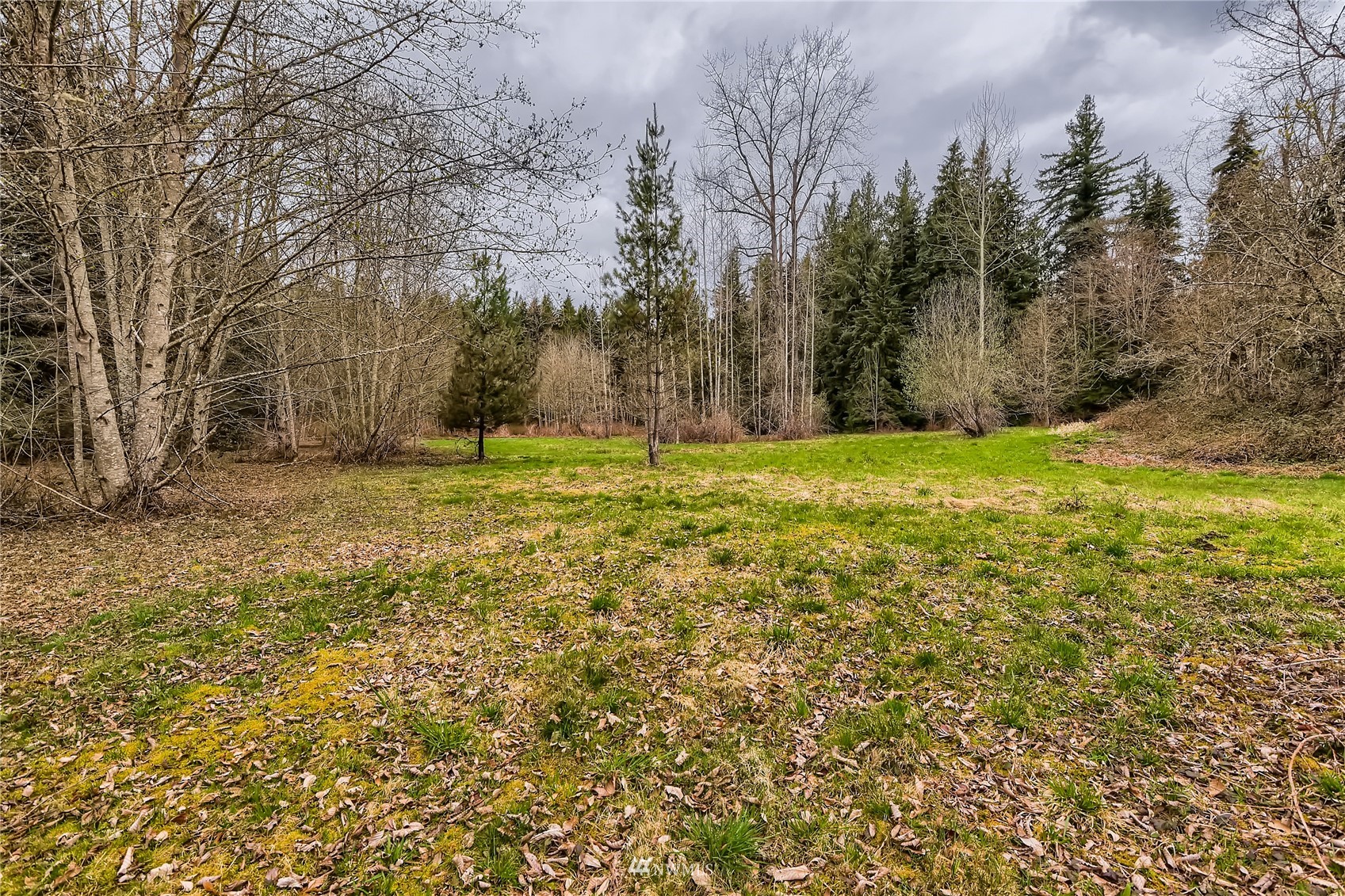 29017 Old Owen Road Monroe, WA 98272 - Photo 30 of 35 a big yard with trees