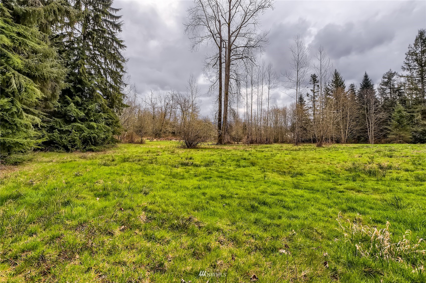 29017 Old Owen Road Monroe, WA 98272 - Photo 31 of 35 a backyard of a building