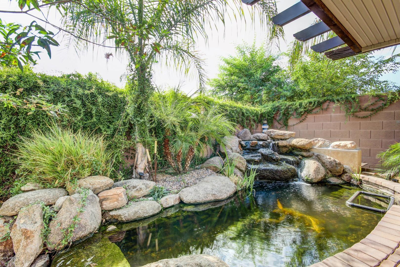 2915 East Blue Sage Road Gilbert, AZ 85297 - Photo 36 of 41 Koi Pond 2