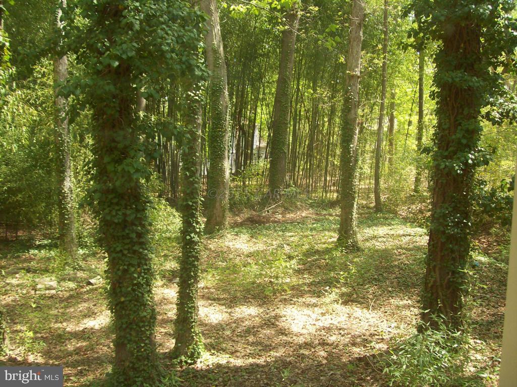 39 Capetown Road Ocean Pines, MD 21811 - Photo 7 of 20