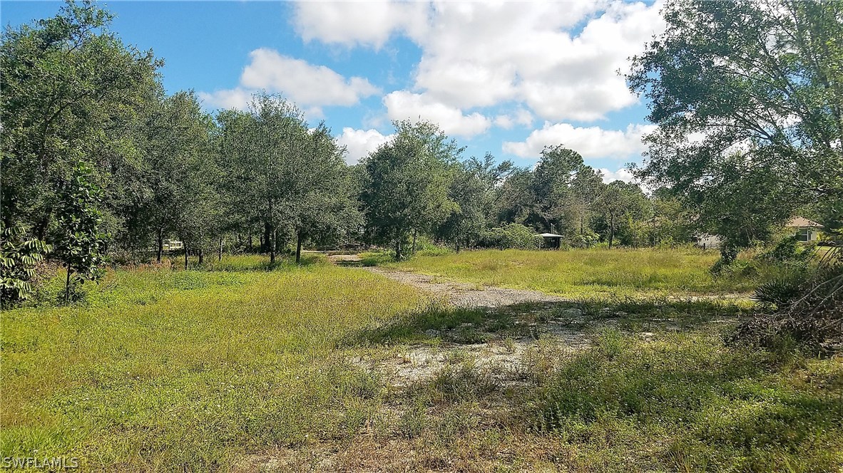 a view of a field with an trees