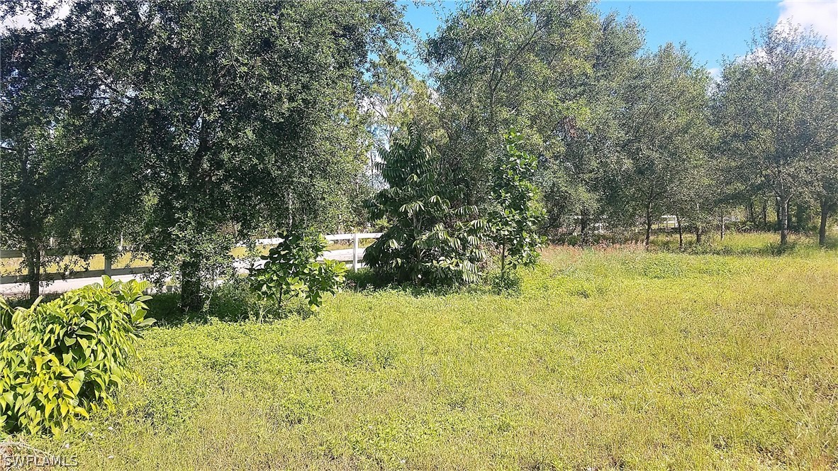 11661 Shawnee Road Fort Myers, FL 33913 - Photo 5 of 9 a view of yard with green space