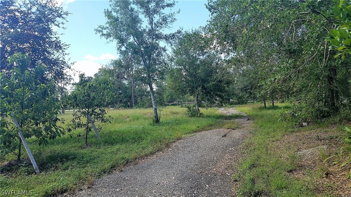 11661 Shawnee Road Fort Myers, FL 33913 - Photo 7 of 9 a view of a forest