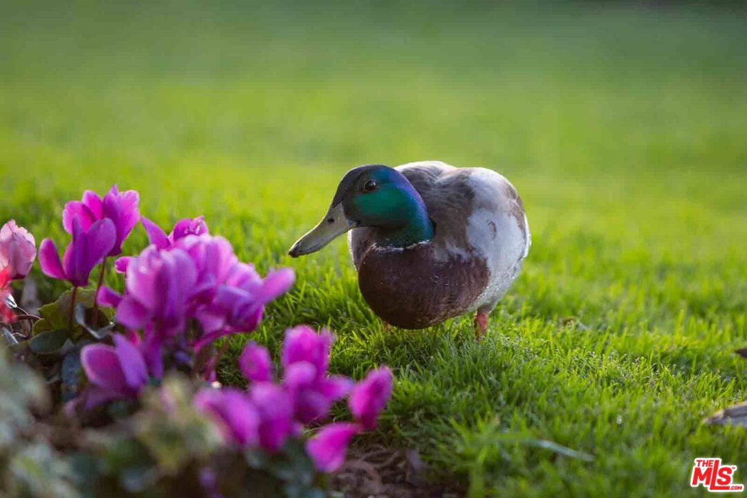 Stone Oak Drive Los Angeles, CA 90049 - Photo 26 of 27