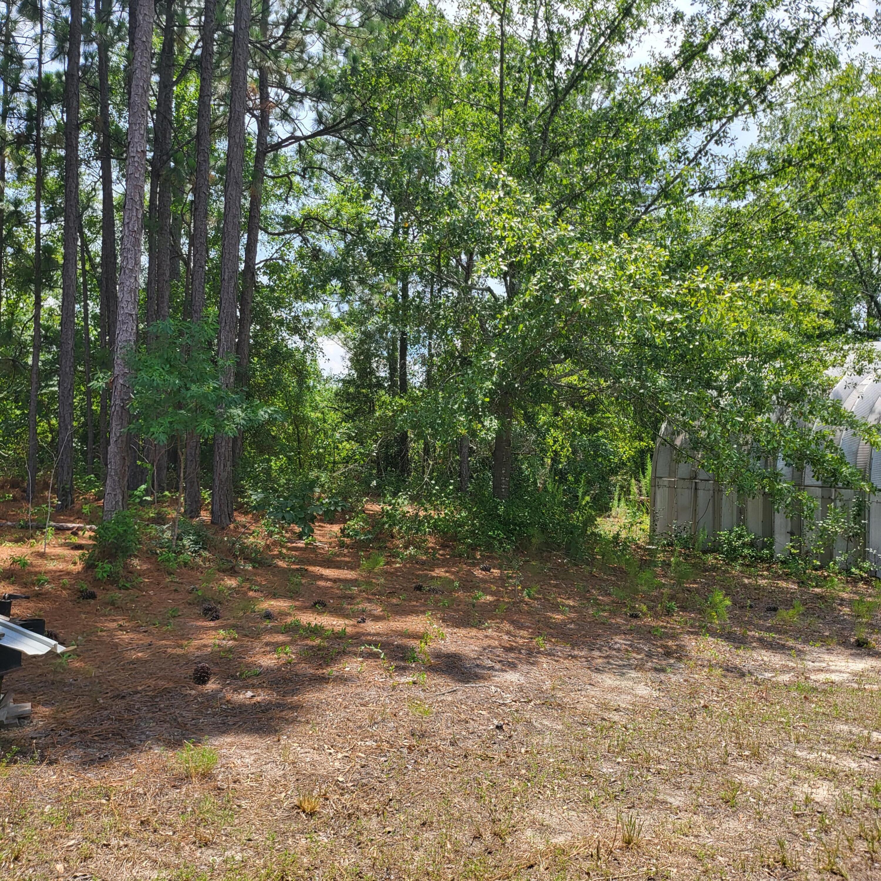 4091 Columbia Highway North Ridge Spring, SC 29129 - Photo 24 of 25 1000023431