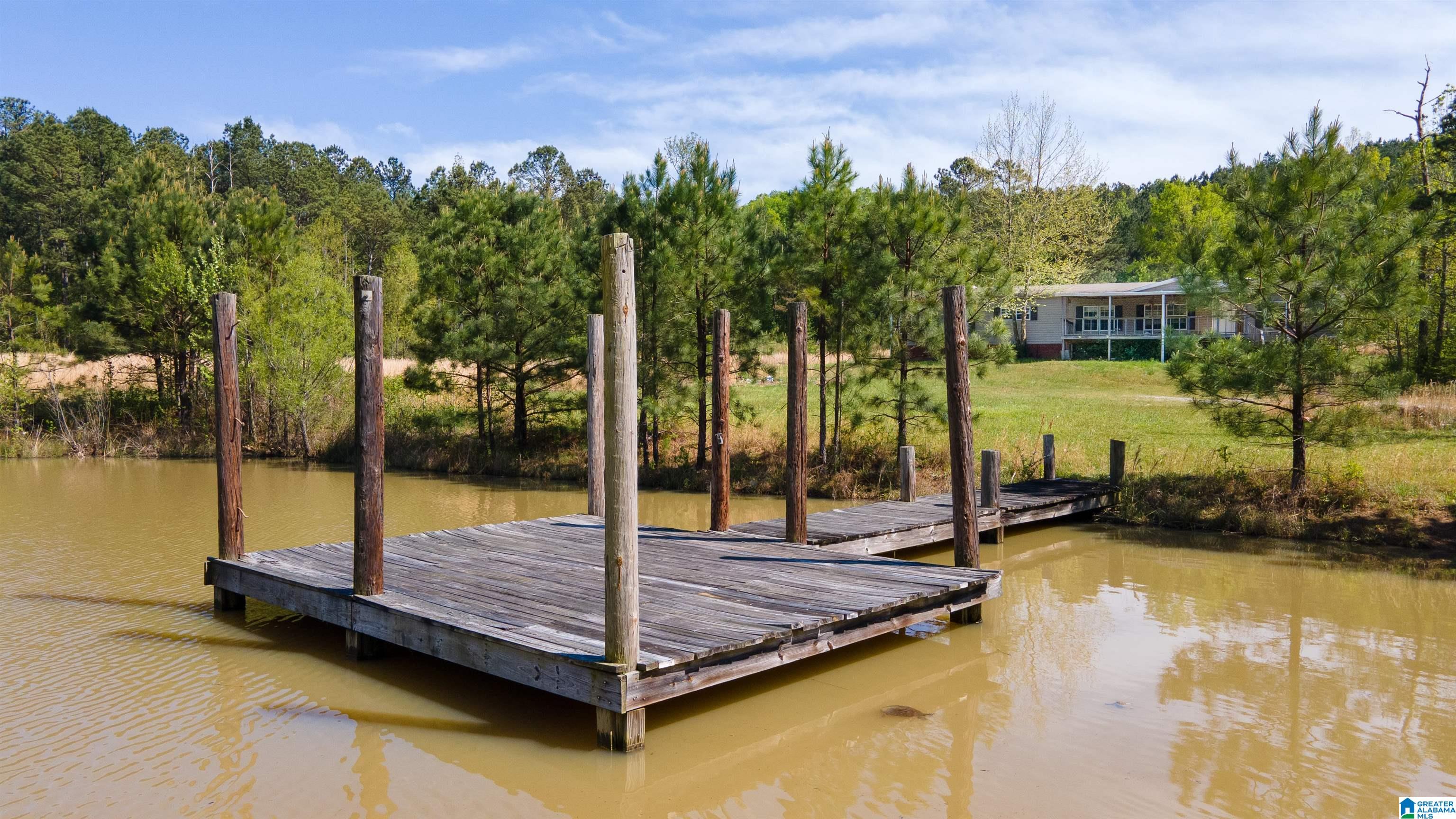 3554 Possum Trot Road Piedmont, AL 36272 - Photo 13 of 18