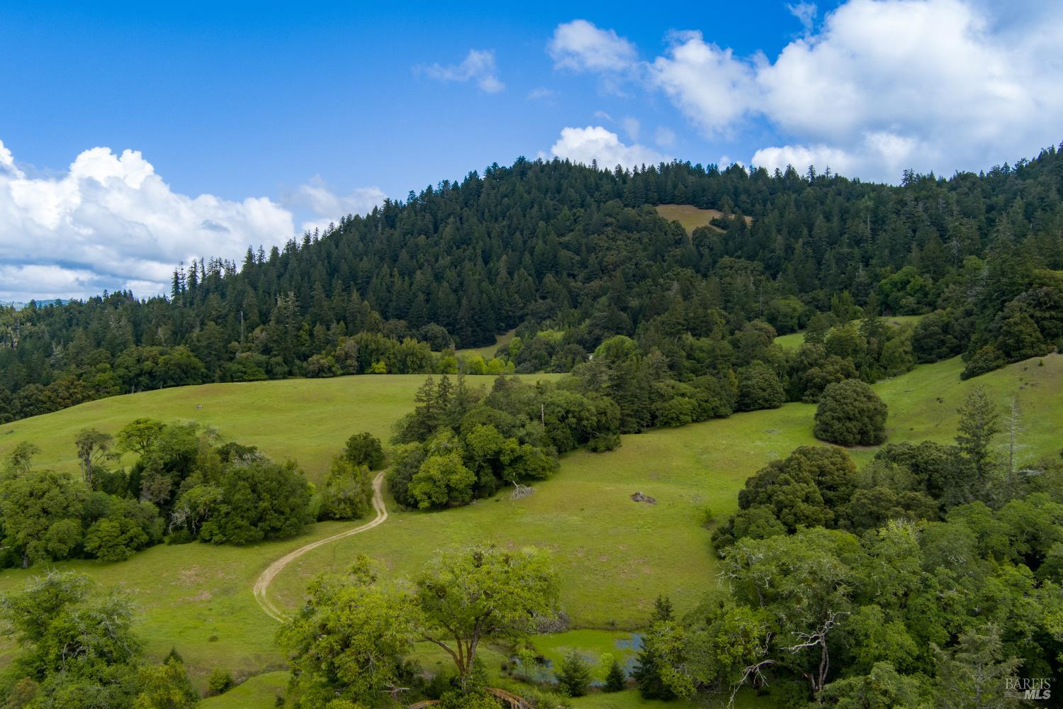 -0 Reed Mountain Road Bankston, CA 35542 - Photo 5 of 14