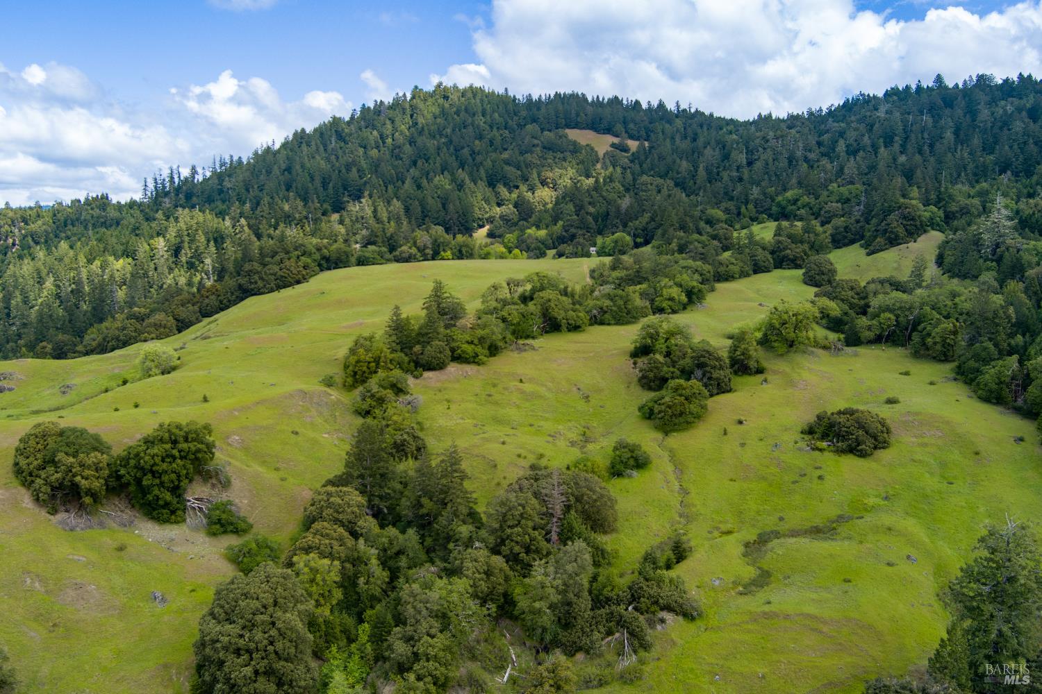 -0 Reed Mountain Road Bankston, CA 35542 - Photo 9 of 14
