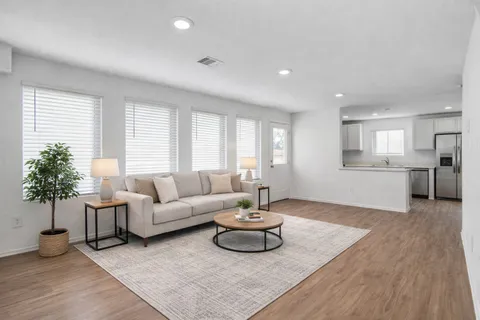 a living room with furniture and a potted plant