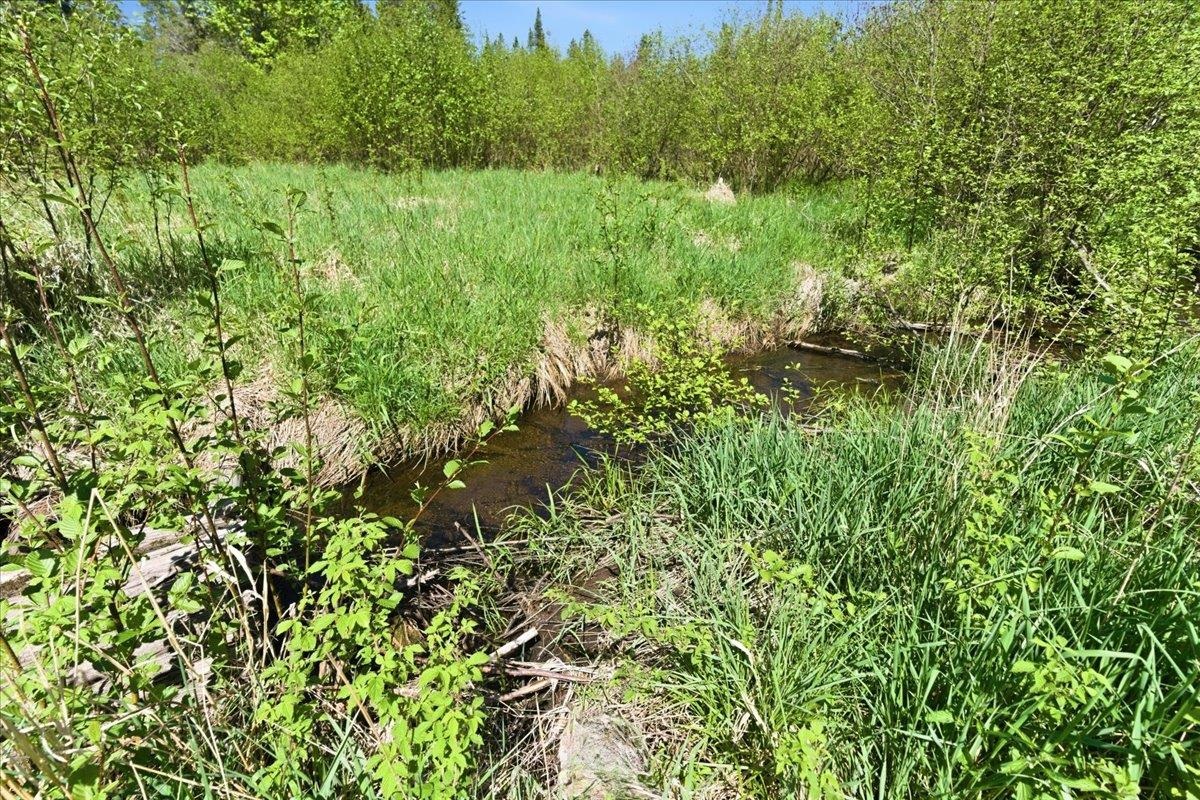 0 County Highway J Deerbrook, WI 54424 - Photo 28 of 78