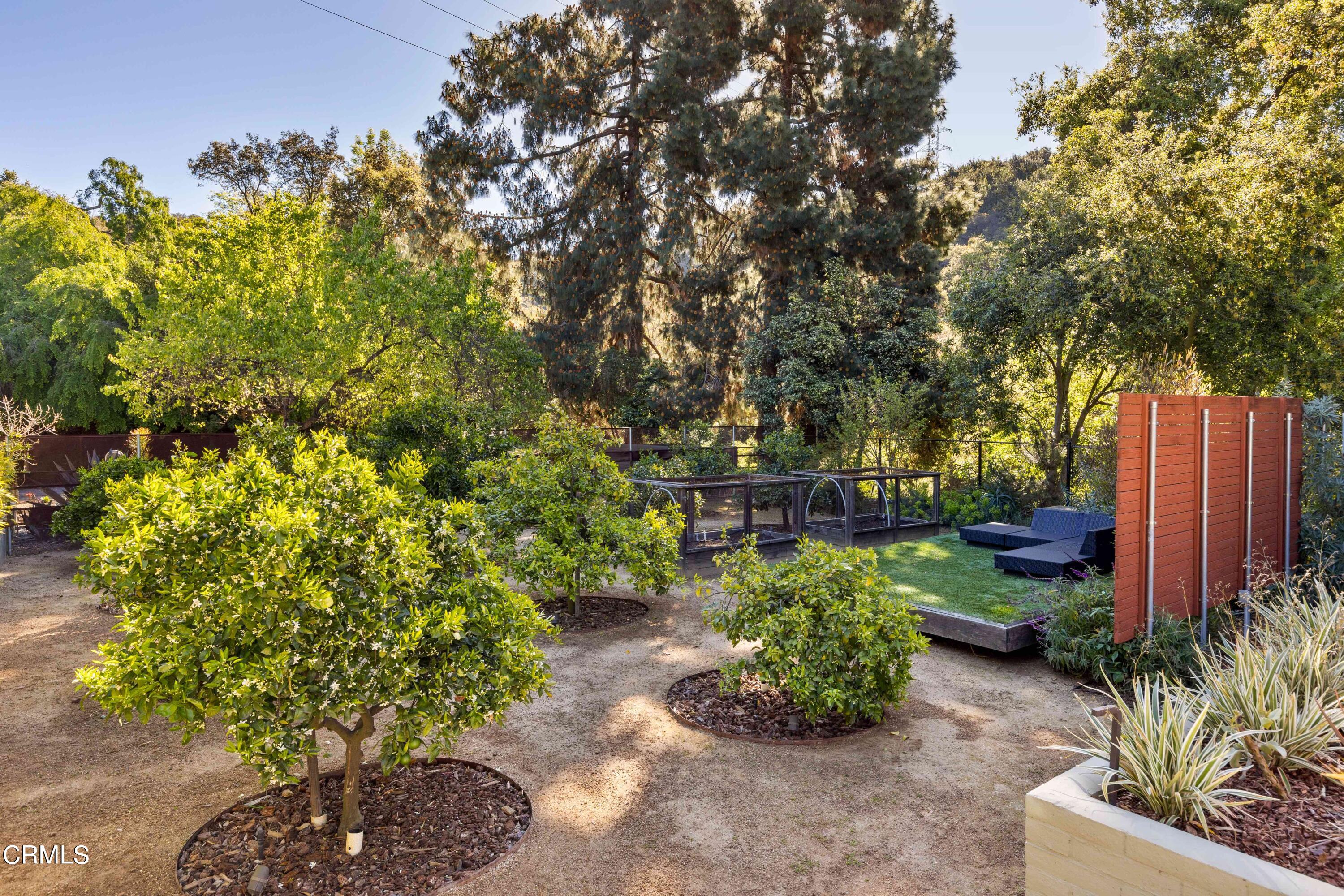 3205 Cornwall Drive Glendale, CA 91206 - Photo 24 of 32 Orchard