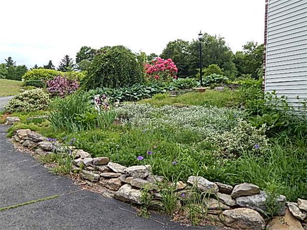 6 Sanfred Road Leicester, MA 01524 - Photo 21 of 25 Gallery Image 21