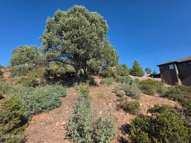 a view of a yard with plants and a building