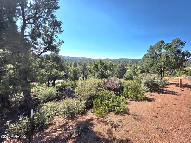 a view of a yard with a tree