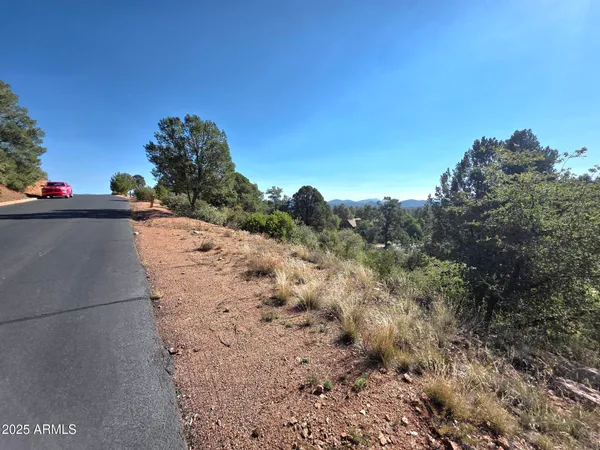 a view of a dry yard with trees