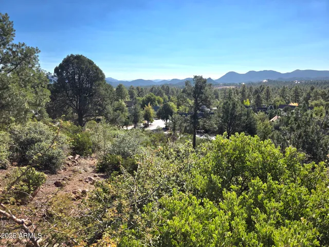 a view of a house with a mountain and a forest