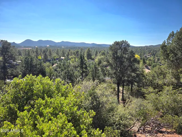 a view of a lush green field with mountains in the background