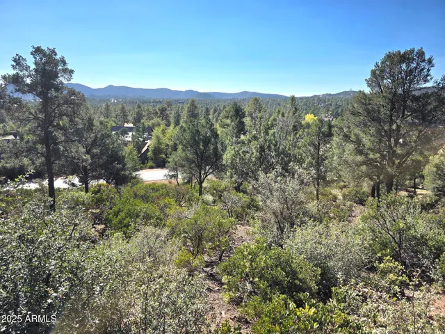a view of mountain view with lots of trees