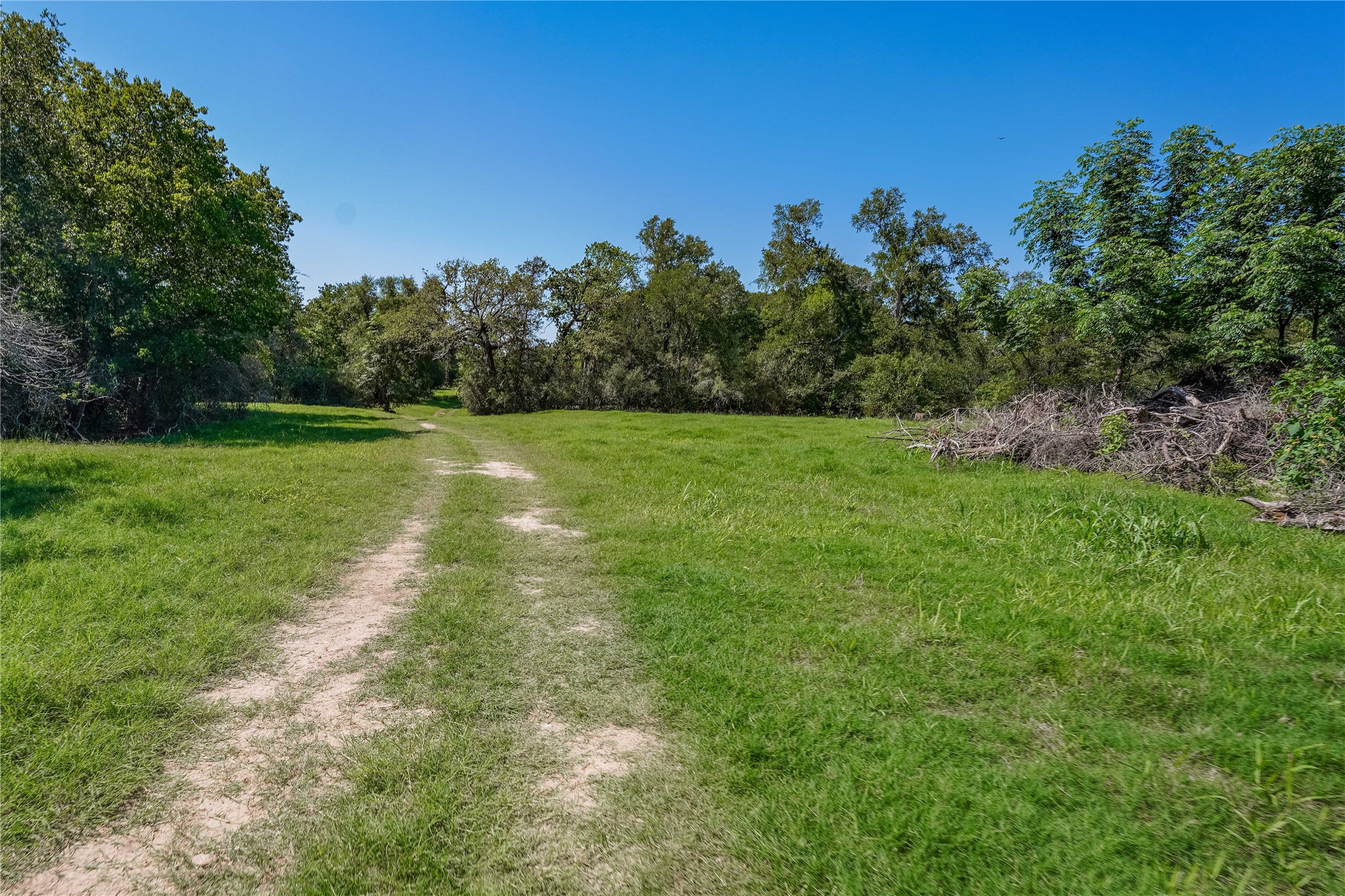 Tbd Warda Church Road Giddings, TX 78942 - Photo 24 of 29