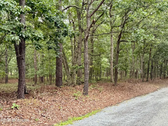 a backyard of a house with lots of trees