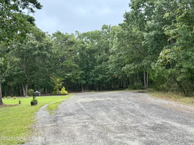 a view of a trees in a yard