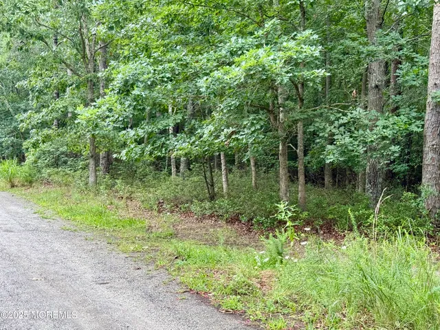 a view of a lake with a tree