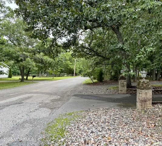 a view of a yard with plants and trees